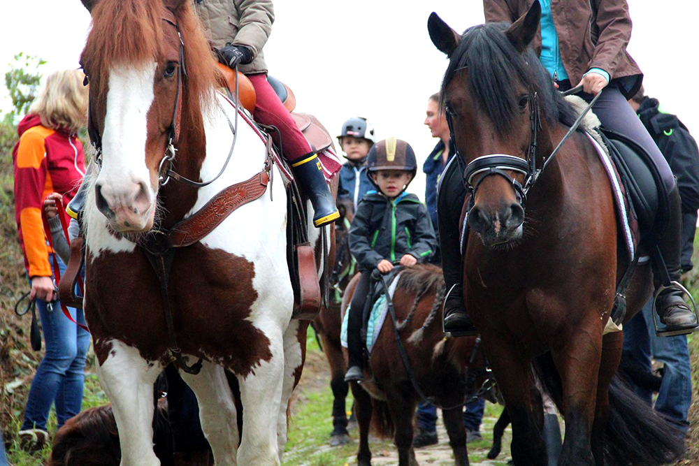 Chevaux et cavaliers